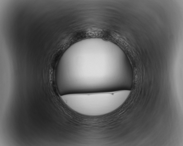 X0000097990712200803241022