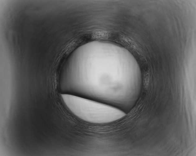 X0000097990716200803241021