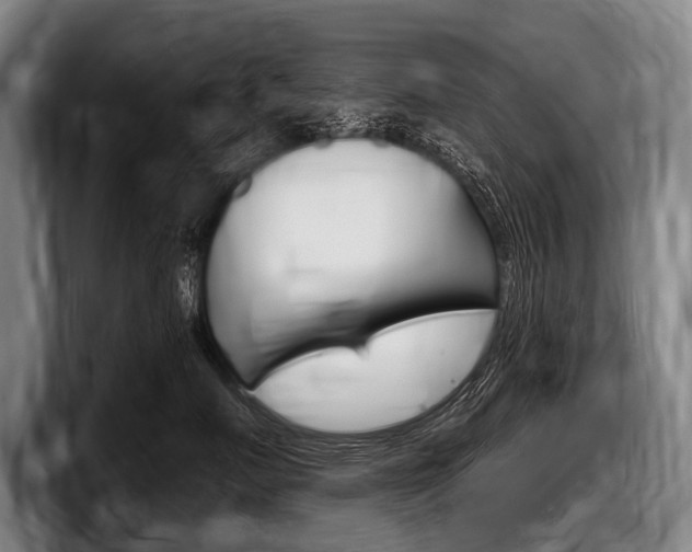 X0000097990719200803241021