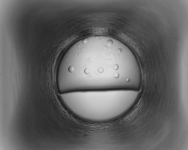 X0000097990721200803241021