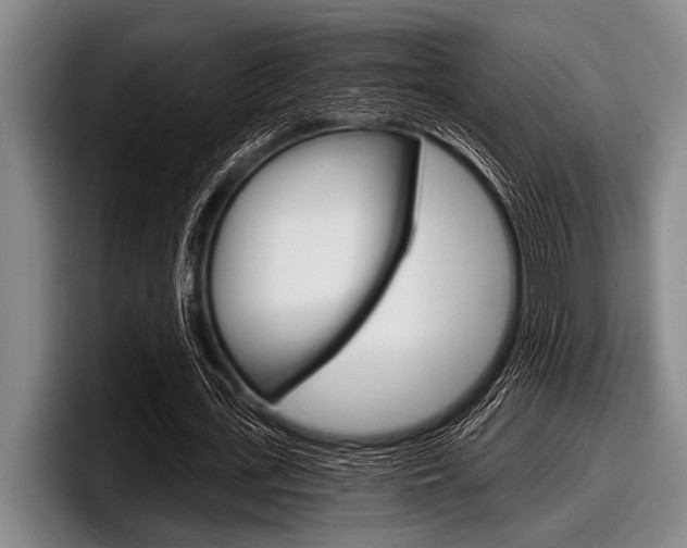 X0000097990723200803241021