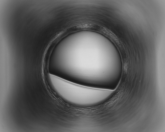 X0000097990724200803241021