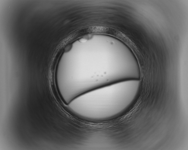 X0000097990725200803241021