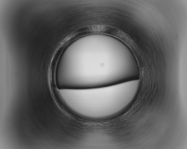 X0000097990726200803241021