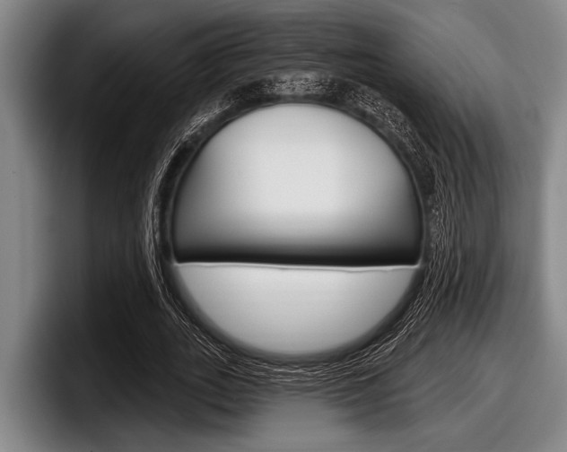 X0000097990727200803241021