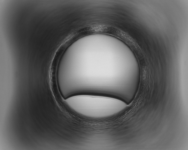 X0000097990730200803241021
