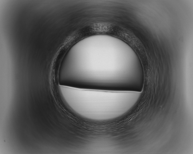 X0000097990731200803241021