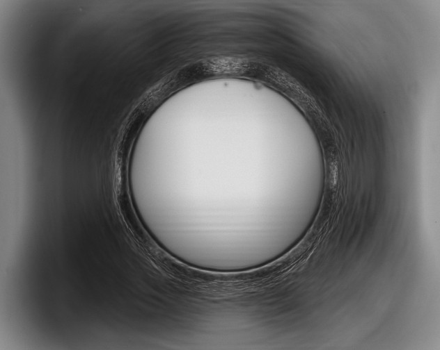 X0000097990733200803241021
