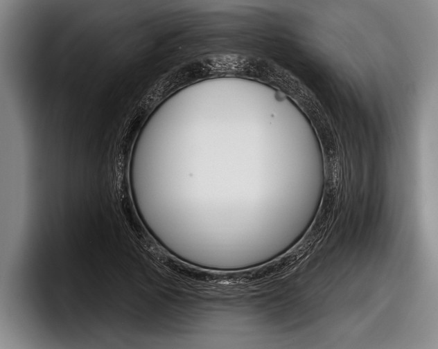X0000097990737200803241021