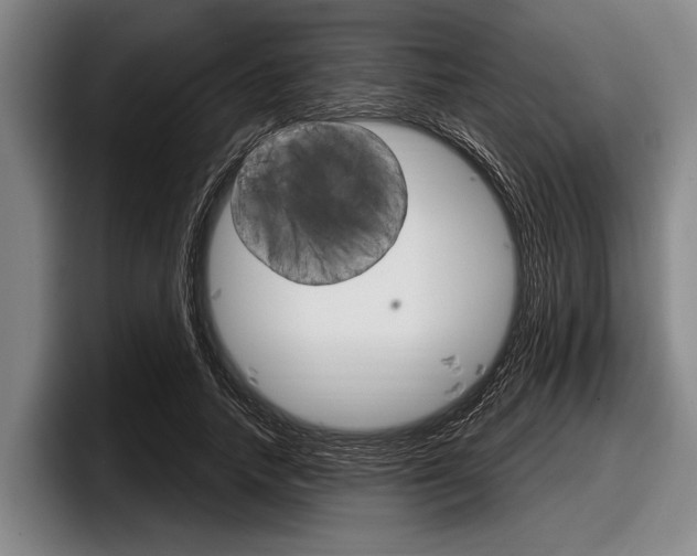 X0000097990738200803241021