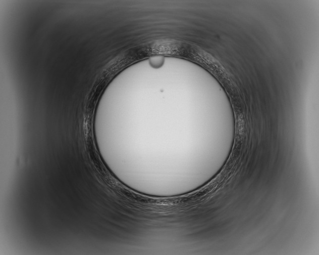 X0000097990741200803241021