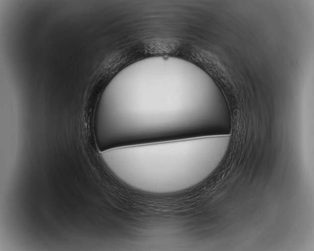 X0000097990743200803241021