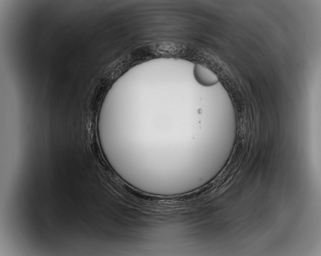 X0000097990749200803241021