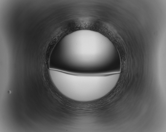 X0000097990750200803241021