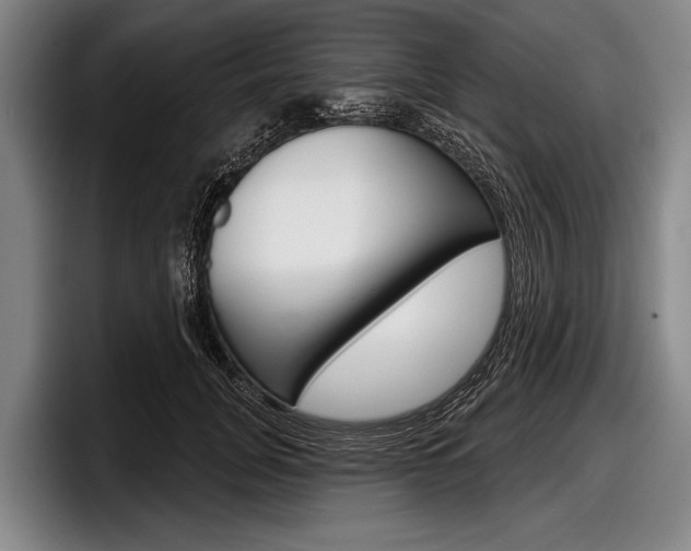 X0000097990751200803241021