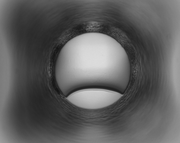 X0000097990755200803241021