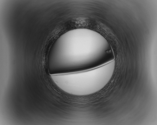 X0000097990756200803241021