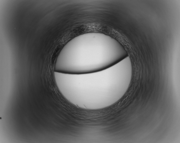 X0000097990757200803241021