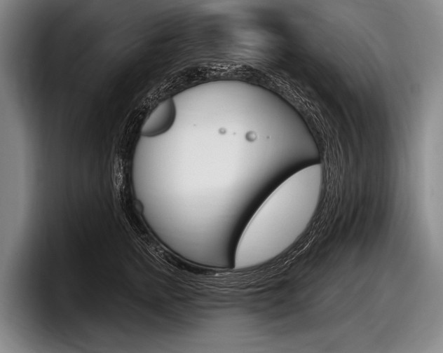 X0000097990758200803241021