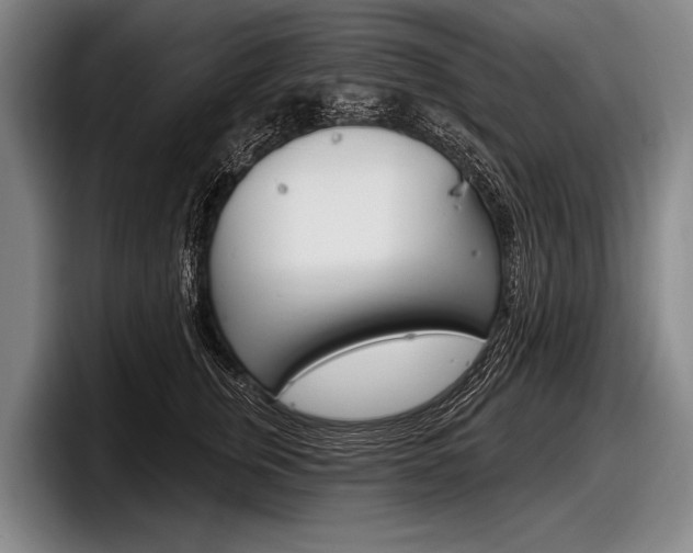 X0000097990759200803241021