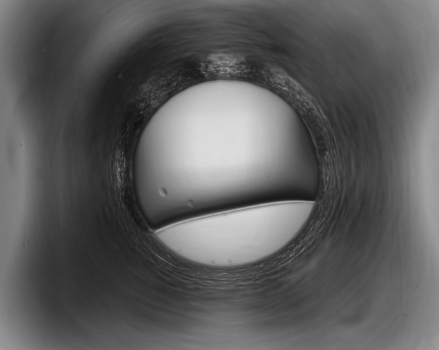 X0000097990760200803241021