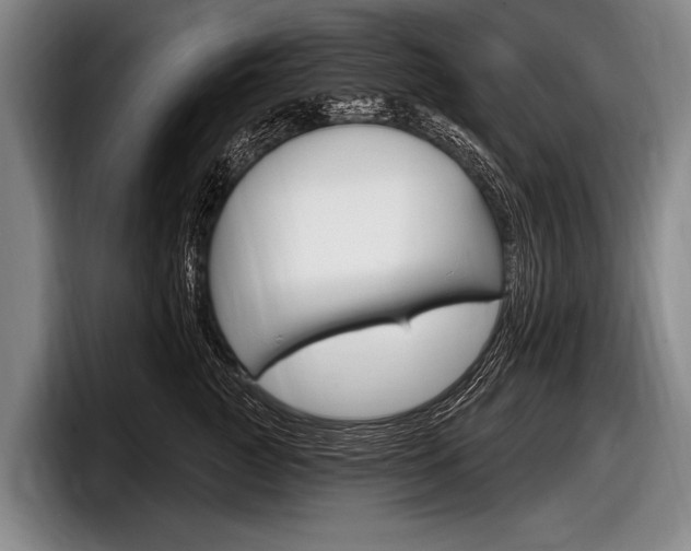 X0000097990761200803241021