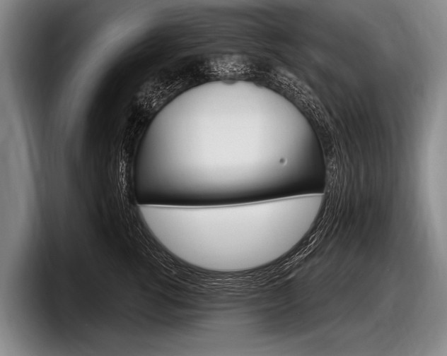 X0000097990762200803241021