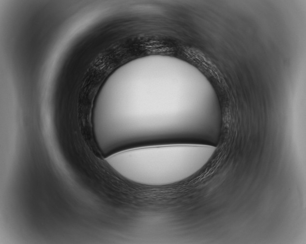 X0000097990763200803241021