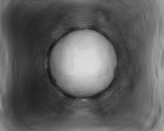 X0000097990768200803241021