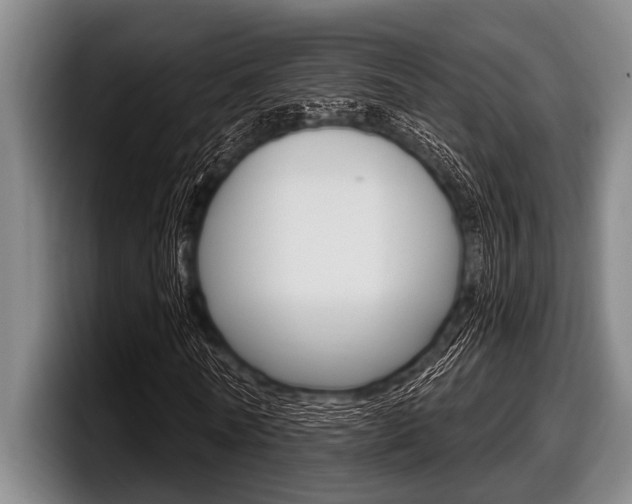 X0000097990770200803241021