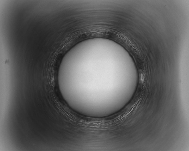 X0000097990771200803241021