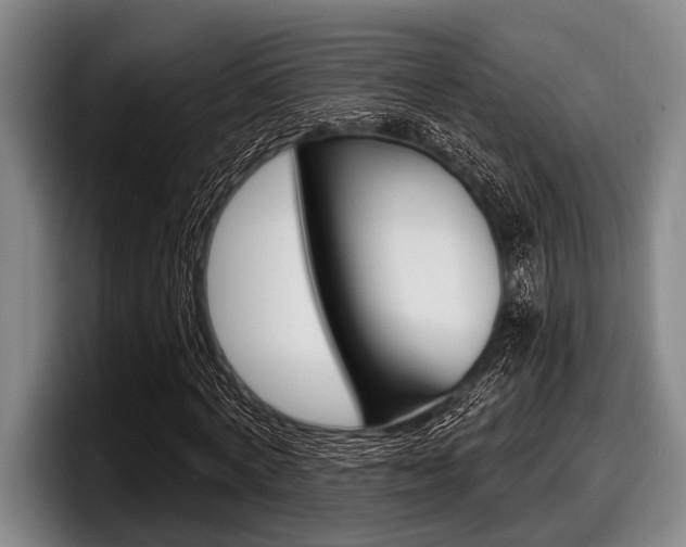 X0000097990772200803241021