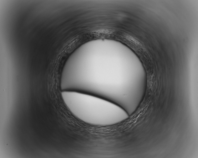 X0000097990774200803241021