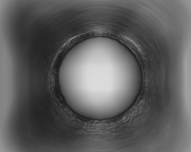 X0000097990776200803241021