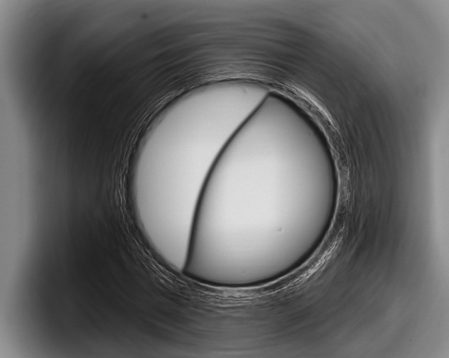 X0000097990777200803241021