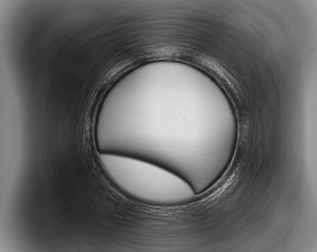 X0000097990778200803241021