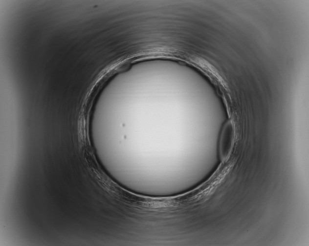 X0000097990781200803241021