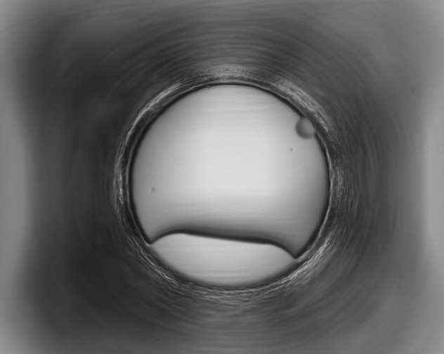 X0000097990782200803241021