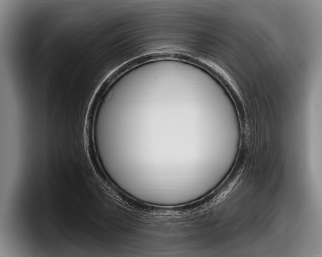 X0000097990783200803241021