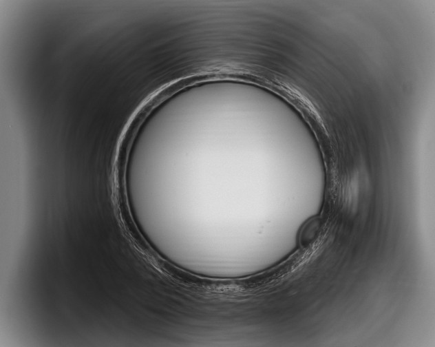 X0000097990784200803241021