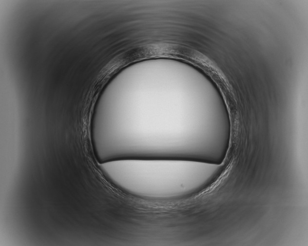 X0000097990785200803241021