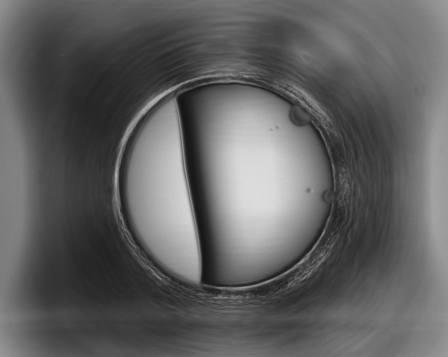 X0000097990788200803241021