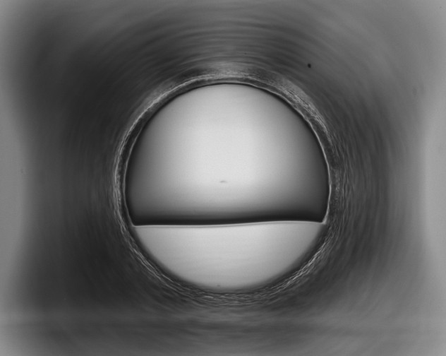 X0000097990789200803241021