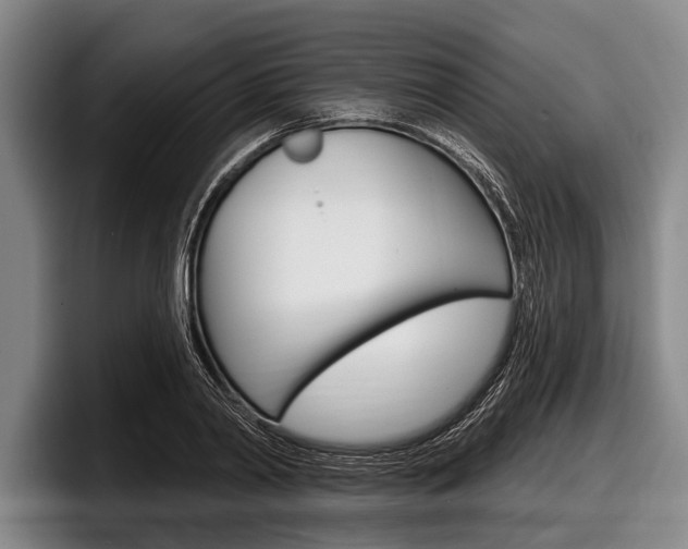 X0000097990790200803241021