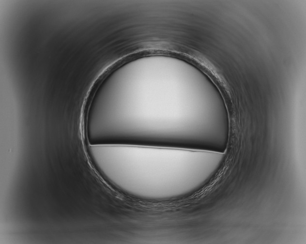 X0000097990791200803241021