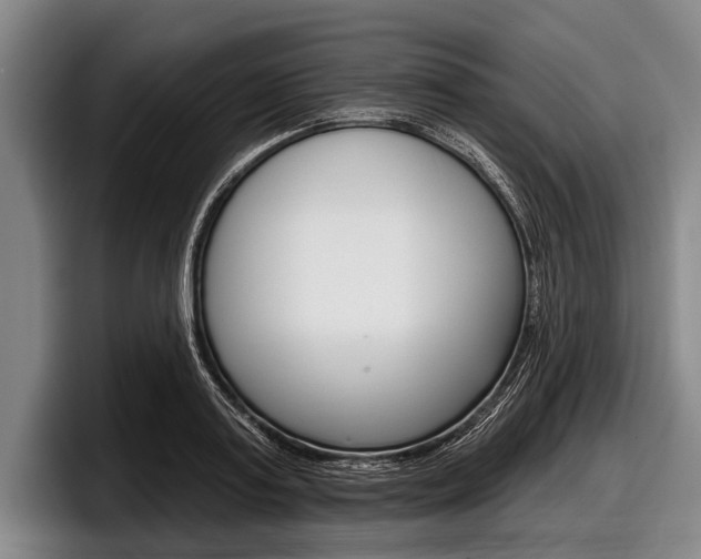 X0000097990795200803241020