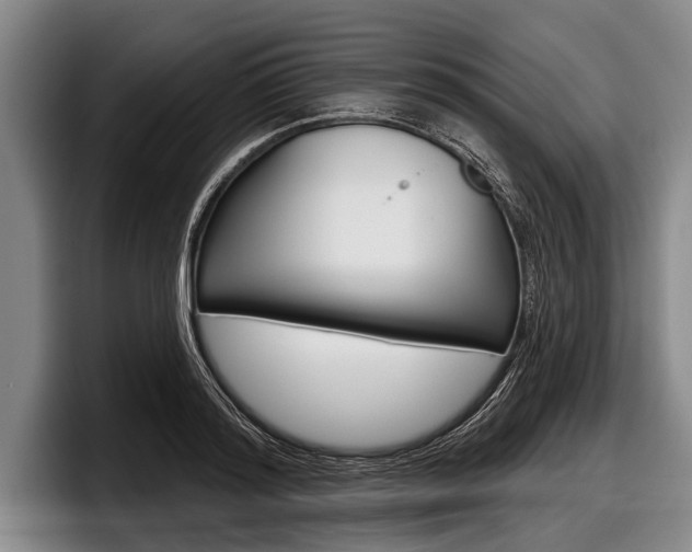 X0000097990796200803241020