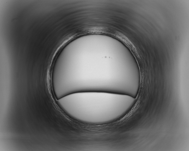 X0000097990798200803241020