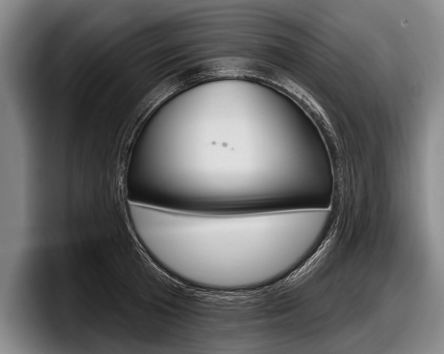 X0000097990801200803241020