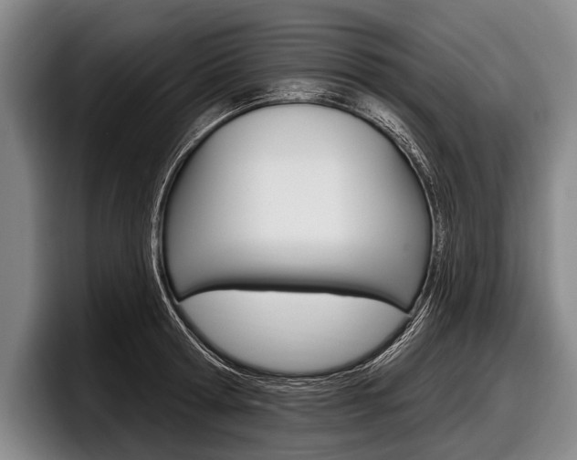 X0000097990802200803241020